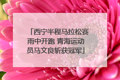 西宁半程马拉松赛雨中开跑 青海运动员马文良斩获冠军
