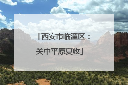 西安市临潼区：关中平原夏收