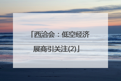 西洽会：低空经济展商引关注(2)