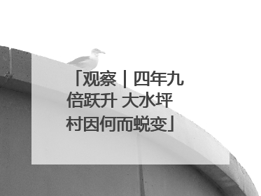 观察｜四年九倍跃升 大水坪村因何而蜕变