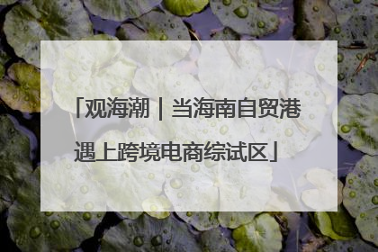 观海潮｜当海南自贸港遇上跨境电商综试区