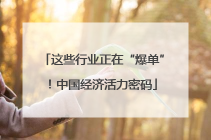 这些行业正在“爆单”！中国经济活力密码