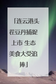 连云港头茬豆丹捕捉上市 生态美食大受追捧