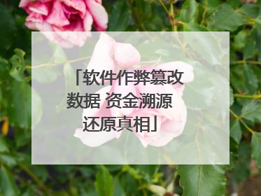 软件作弊篡改数据 资金溯源还原真相