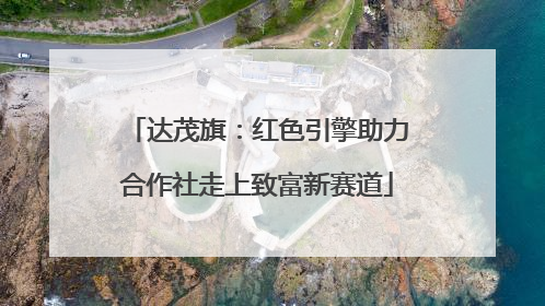 达茂旗：红色引擎助力合作社走上致富新赛道