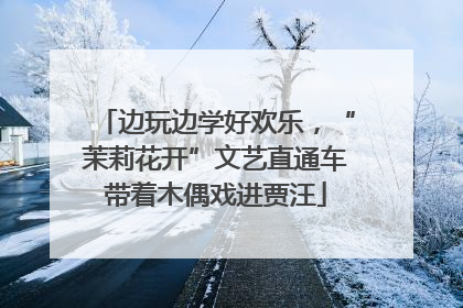 边玩边学好欢乐，“茉莉花开”文艺直通车带着木偶戏进贾汪