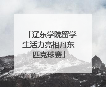 辽东学院留学生活力亮相丹东匹克球赛