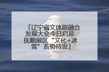 辽宁省文体旅融合发展大会今日启幕 抚顺展区“文化+冰雪”蓄势待发