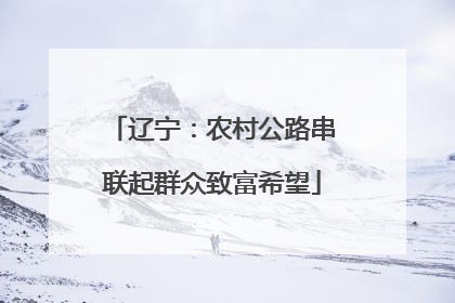 辽宁：农村公路串联起群众致富希望