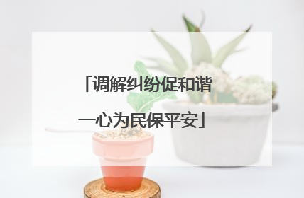 调解纠纷促和谐 一心为民保平安