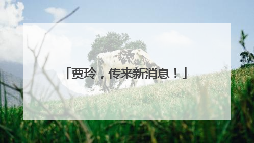 贾玲，传来新消息！