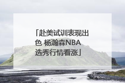 赴美试训表现出色 杨瀚森NBA选秀行情看涨