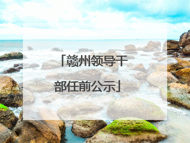 赣州领导干部任前公示
