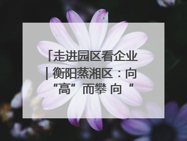 走进园区看企业｜衡阳蒸湘区：向“高”而攀 向“新”而行