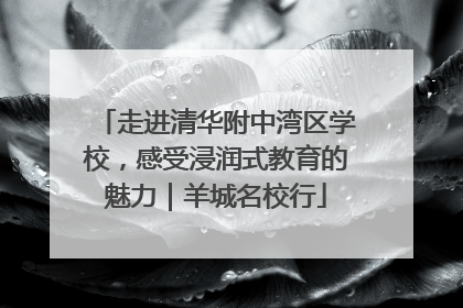 走进清华附中湾区学校，感受浸润式教育的魅力｜羊城名校行