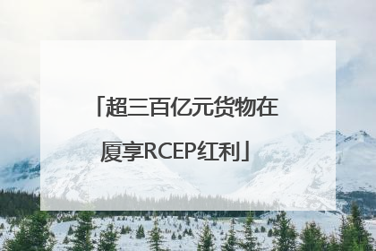 超三百亿元货物在厦享RCEP红利
