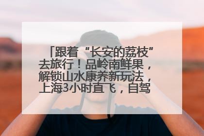 跟着“长安的荔枝”去旅行！品岭南鲜果，解锁山水康养新玩法，上海3小时直飞，自驾高速费优惠
