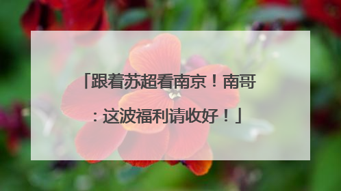 跟着苏超看南京！南哥：这波福利请收好！