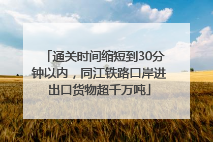 通关时间缩短到30分钟以内，同江铁路口岸进出口货物超千万吨