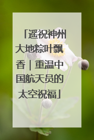 遥祝神州大地粽叶飘香｜重温中国航天员的太空祝福