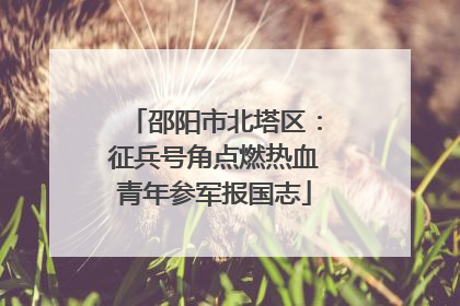 邵阳市北塔区：征兵号角点燃热血青年参军报国志
