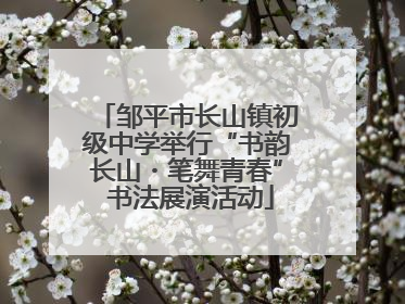 邹平市长山镇初级中学举行“书韵长山・笔舞青春” 书法展演活动