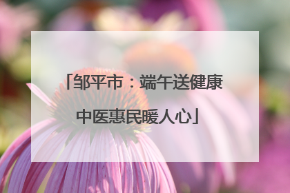 邹平市：端午送健康 中医惠民暖人心