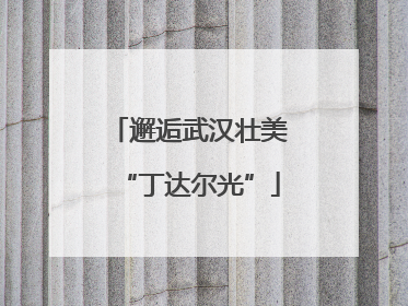 邂逅武汉壮美“丁达尔光”