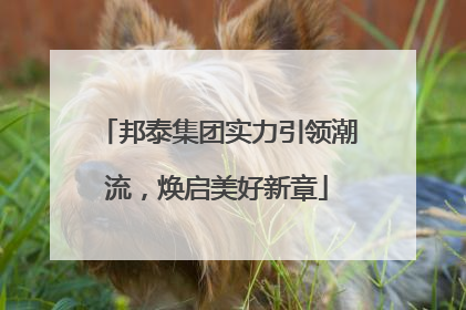 邦泰集团实力引领潮流，焕启美好新章