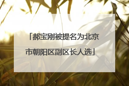 郝宝刚被提名为北京市朝阳区副区长人选
