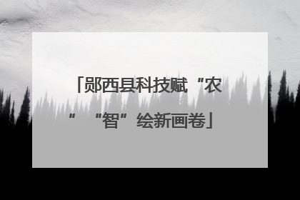 郧西县科技赋“农”“智”绘新画卷