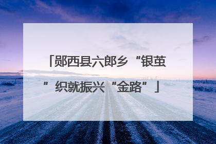 郧西县六郎乡“银茧”织就振兴“金路”