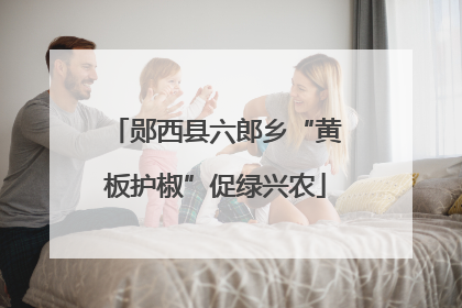 郧西县六郎乡“黄板护椒”促绿兴农