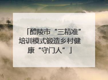醴陵市“三精准”培训模式锻造乡村健康“守门人”