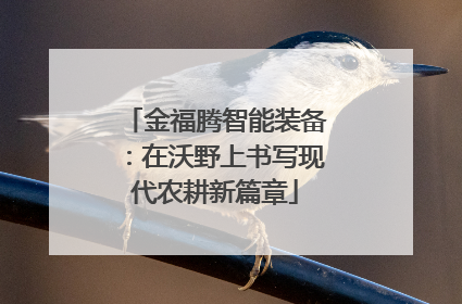 金福腾智能装备：在沃野上书写现代农耕新篇章