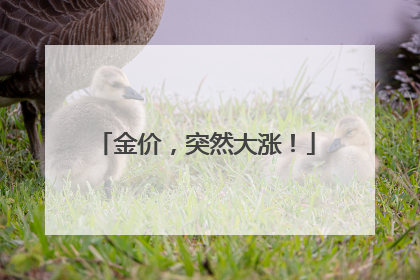 金价，突然大涨！