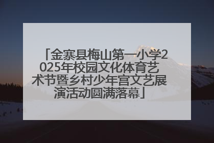 金寨县梅山第一小学2025年校园文化体育艺术节暨乡村少年宫文艺展演活动圆满落幕