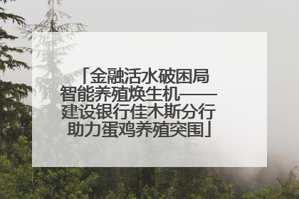 金融活水破困局 智能养殖焕生机——建设银行佳木斯分行助力蛋鸡养殖突围