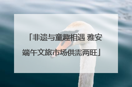 非遗与童趣相遇 雅安端午文旅市场供需两旺