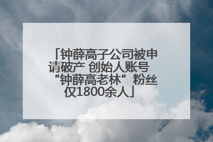 钟薛高子公司被申请破产 创始人账号“钟薛高老林”粉丝仅1800余人