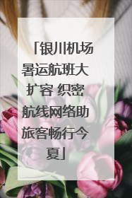 银川机场暑运航班大扩容 织密航线网络助旅客畅行今夏