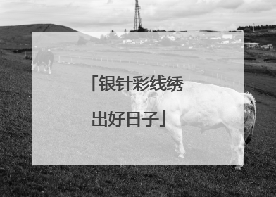 银针彩线绣出好日子