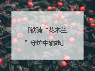 铁骑“花木兰”守护中轴线