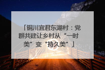 铜川宜君东湖村：党群共建让乡村从“一时美”变“持久美”