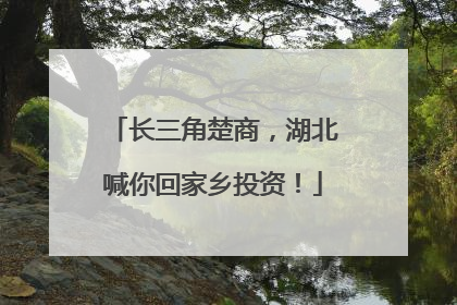 长三角楚商，湖北喊你回家乡投资！