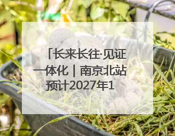 长来长往·见证一体化｜南京北站预计2027年10月开通