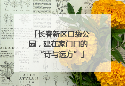 长春新区口袋公园，建在家门口的“诗与远方”