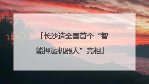 长沙造全国首个“智能押运机器人”亮相