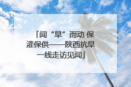 闻“旱”而动 保灌保供——陕西抗旱一线走访见闻