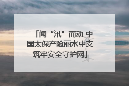 闻“汛”而动 中国太保产险丽水中支筑牢安全守护网